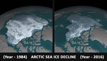 Satellite Map of Arctic Sea Ice Decline from NASA Earth Observatory